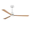 energy-saving smart ceiling fan​